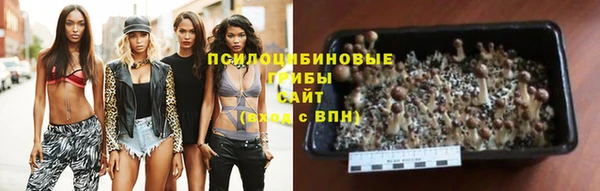 mdpv Магас