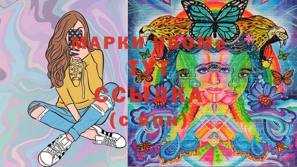 PSILOCYBIN Алагир