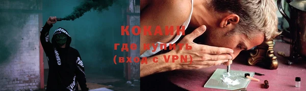 прущие грибы Алапаевск