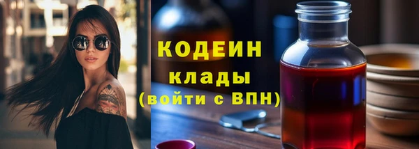 прущие грибы Алапаевск