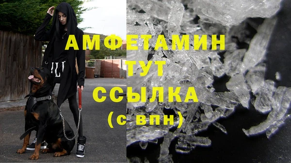 прущие грибы Алапаевск