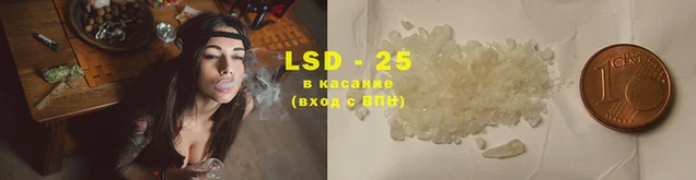 PSILOCYBIN Алагир