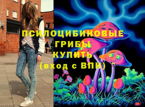 прущие крисы Гусь-Хрустальный