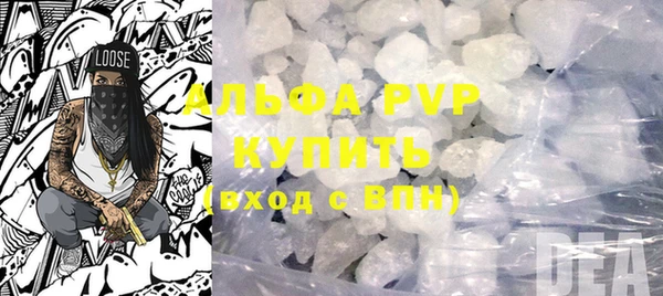 PSILOCYBIN Алагир