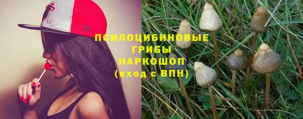 соль курить ск Гусиноозёрск
