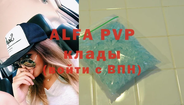 прущие грибы Алапаевск