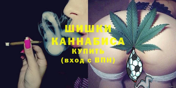 PSILOCYBIN Алагир